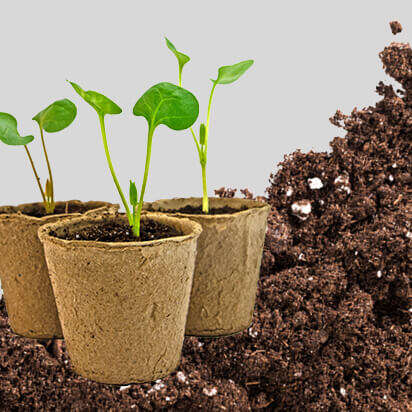 anzuchterde bubblenavibild